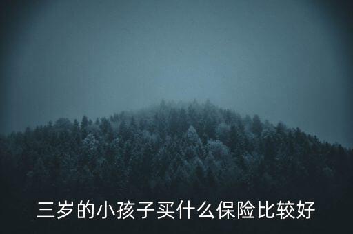 3歲的寶寶買什么保險(xiǎn)嗎，三歲的小孩適合買什么樣的保險(xiǎn)