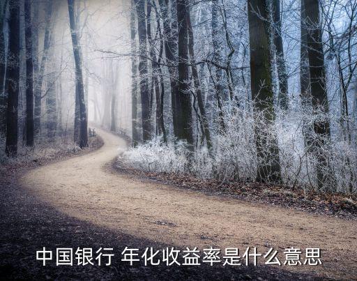 中國銀行 年化收益率是什么意思