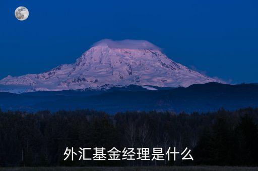 什么是基金經(jīng)理，外匯基金經(jīng)理是什么
