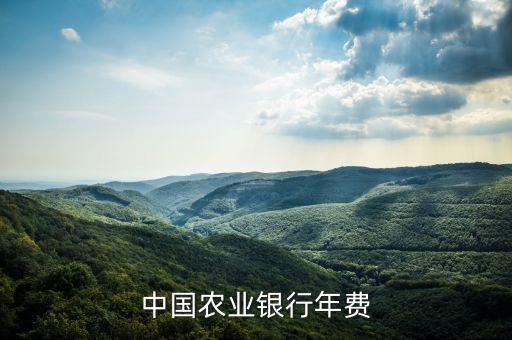 中國(guó)農(nóng)業(yè)銀行年費(fèi)