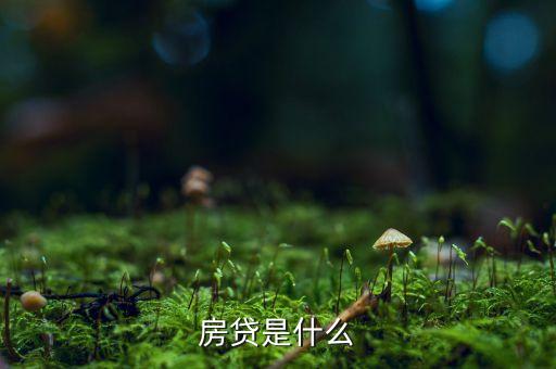房e貸是什么東西，建行房e貸用農(nóng)村房子可以嗎