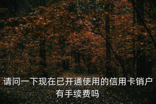 請問一下現(xiàn)在已開通使用的信用卡銷戶有手續(xù)費嗎