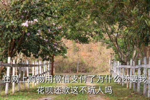 在網(wǎng)上購物用微信支付了為什么還要我花唄還款這不坑人嗎