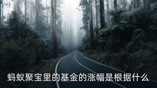 基金漲跌是根據(jù)什么意思，螞蟻聚寶里的基金的漲幅是根據(jù)什么