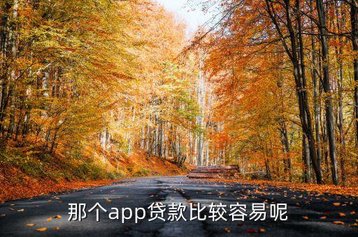 那個app貸款比較容易呢