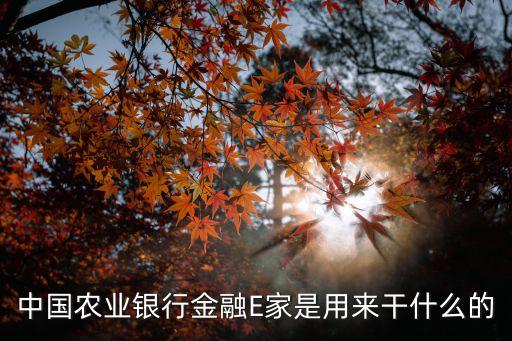 中國(guó)農(nóng)業(yè)銀行金融E家是用來干什么的