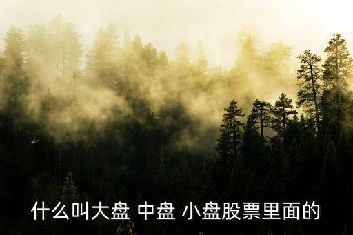 股票存在什么盤，股市哪些是大盤哪些是小盤