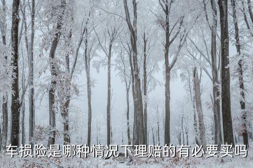 車損險是哪種情況下理賠的有必要買嗎