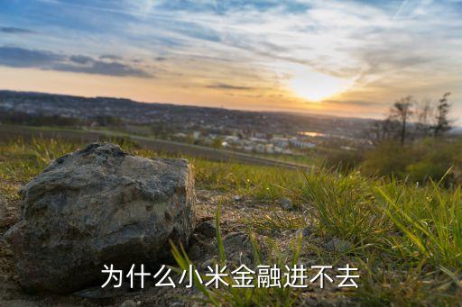 為什么下載不了米咖貸，為什么小米手機不能下載享借錢
