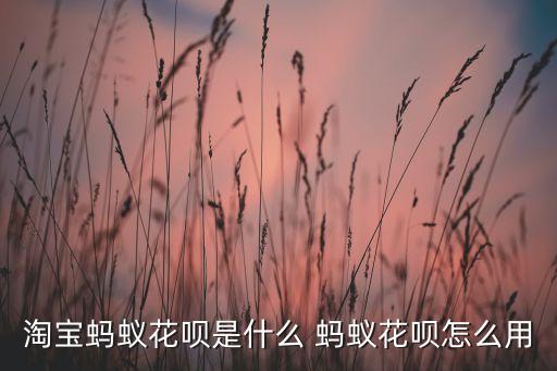 淘寶螞蟻花唄是什么 螞蟻花唄怎么用