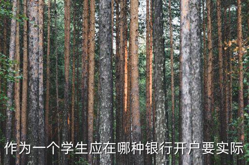 作為一個(gè)學(xué)生應(yīng)在哪種銀行開(kāi)戶(hù)要實(shí)際
