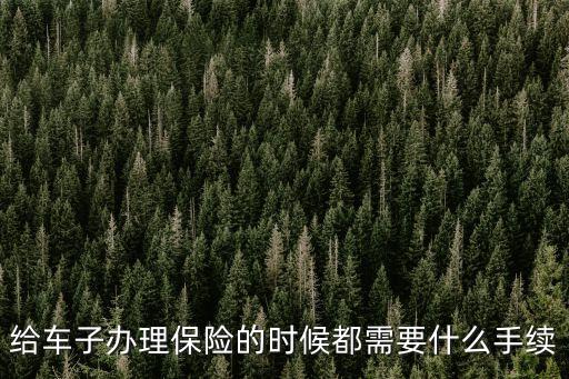 辦理車保險需要什么手續(xù)，辦理車險需要哪些材料