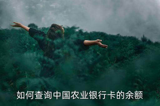 查中國農(nóng)業(yè)銀行卡里有多少錢，中國農(nóng)業(yè)銀行卡余額查詢