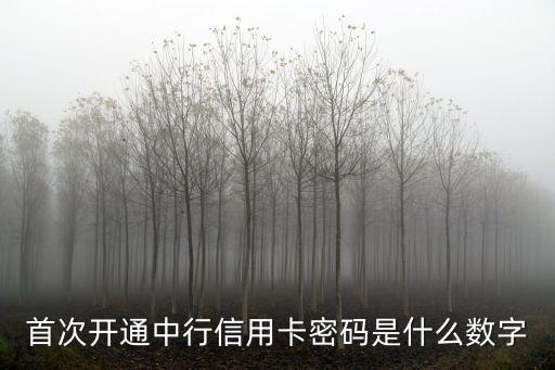 首次開通中行信用卡密碼是什么數(shù)字