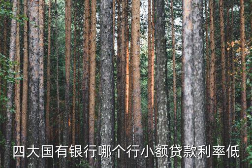 四大國有銀行哪個行小額貸款利率低