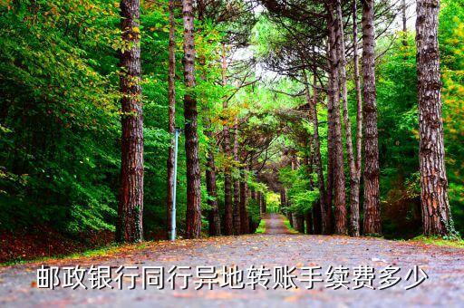 郵政銀行同行異地轉(zhuǎn)賬手續(xù)費多少