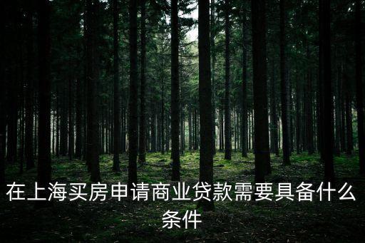 在上海買房申請商業(yè)貸款需要具備什么條件