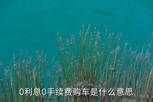 0利息0手續(xù)費(fèi)購車是什么意思