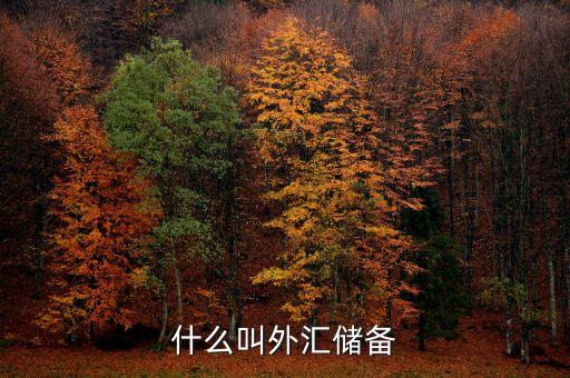 什么是菜肛匯儲備，外匯儲備指什么是用黃金或紙幣來儲備