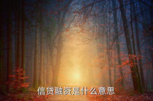 信貸融資是什么意思