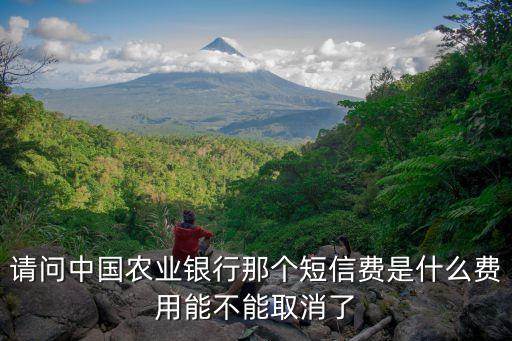銀行短信費是什么意思啊，農行每月短信交易費是什么