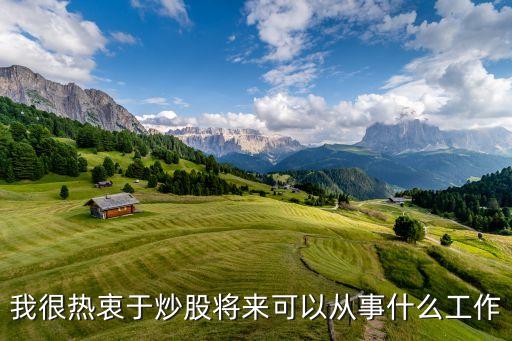 我很熱衷于炒股將來可以從事什么工作