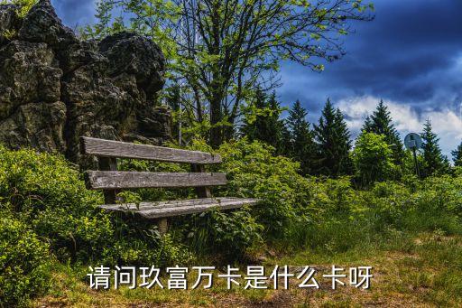 玖富萬卡支持什么銀行，請問玖富萬卡是什么卡呀