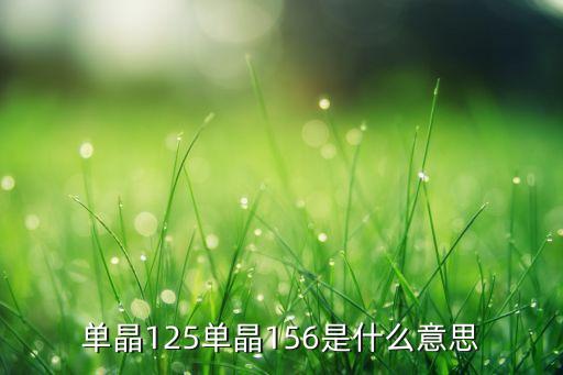 單晶125單晶156是什么意思