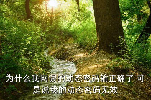 為什么動態(tài)密碼沒有用，中國銀行的動態(tài)口令沒用上