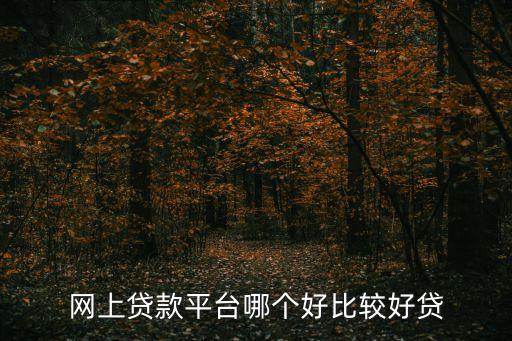網(wǎng)上貸款平臺哪個好比較好貸
