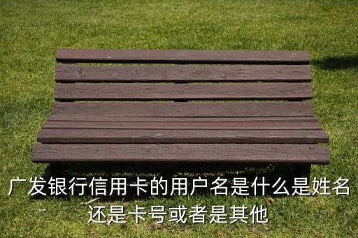 廣發(fā)銀行信用卡的用戶名是什么是姓名還是卡號或者是其他