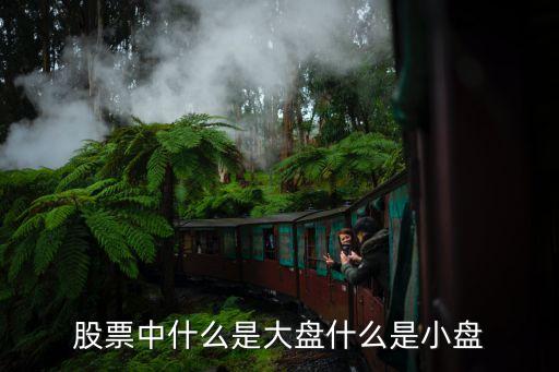 股票中什么是大盤什么是小盤