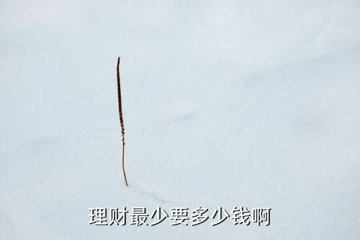 理財最少要多少錢啊