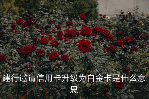 建行邀請信用卡升級為白金卡是什么意思