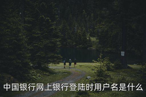 中國銀行網(wǎng)上銀行登陸時用戶名是什么