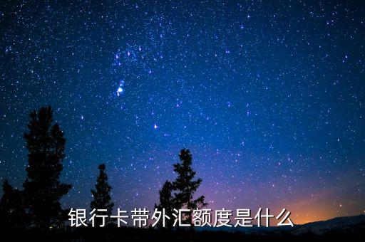 銀行卡帶外匯額度是什么