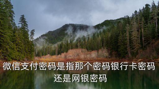 微信支付密碼是指那個(gè)密碼銀行卡密碼 還是網(wǎng)銀密碼