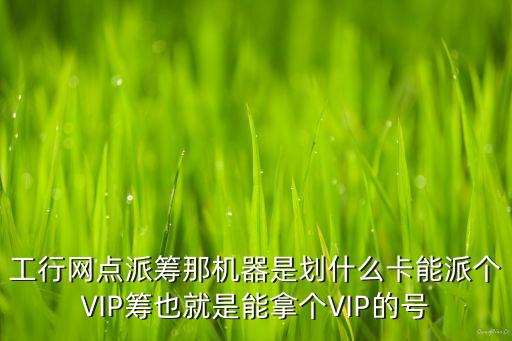 工行網(wǎng)點派籌那機器是劃什么卡能派個VIP籌也就是能拿個VIP的號