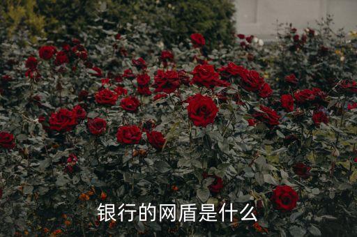 銀行的網(wǎng)盾是什么