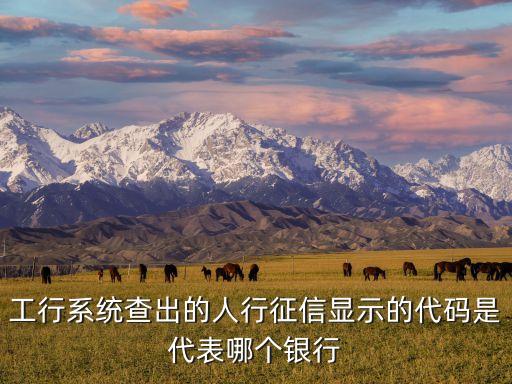 工行系統(tǒng)查出的人行征信顯示的代碼是代表哪個(gè)銀行