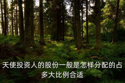 天使投資人的股份一般是怎樣分配的占多大比例合適
