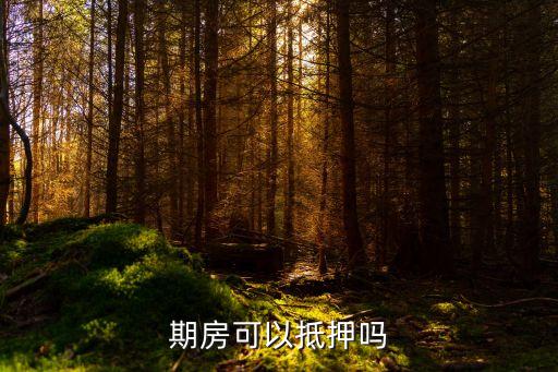 期房可以抵押嗎