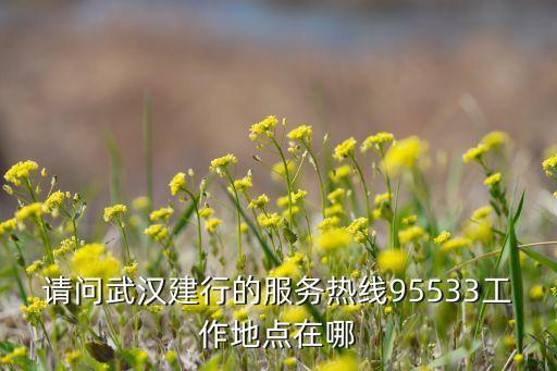 武漢青年路建行支行電話是多少，武漢各個銀行地理位置和電話