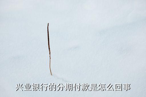興業(yè)銀行的分期付款是怎么回事
