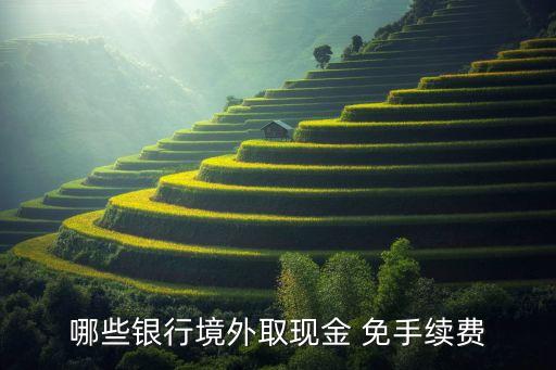 哪些銀行境外取現(xiàn)金 免手續(xù)費(fèi)