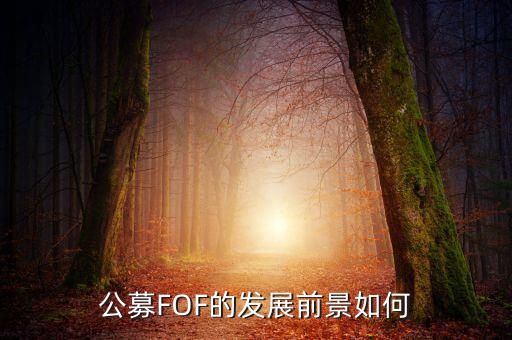 公募FOF的發(fā)展前景如何
