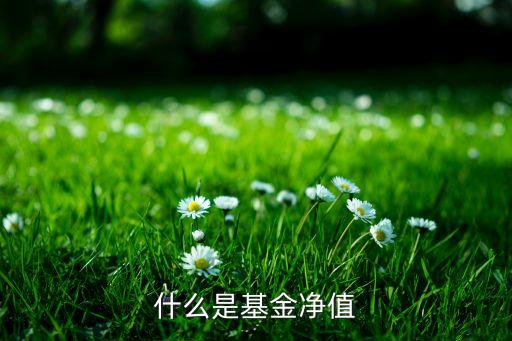 什么是基金凈值