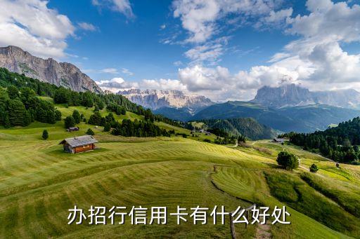 招行征信辦卡做什么用，我想辦信用卡了征信能干嘛呢