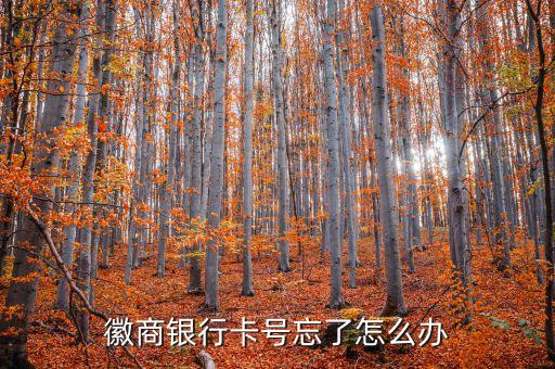 徽商銀行卡號忘了怎么辦