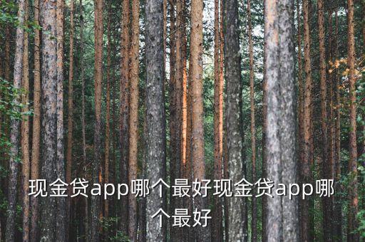 現(xiàn)金貸app哪個最好現(xiàn)金貸app哪個最好